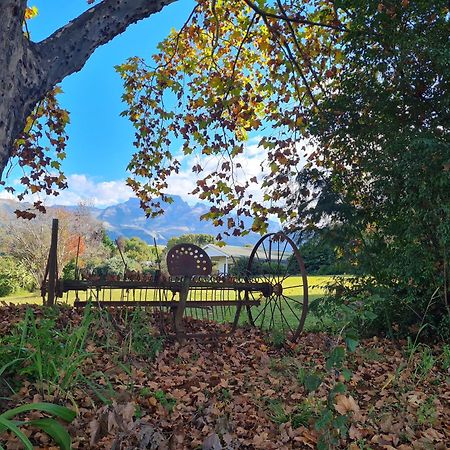 Swallowfield Rondavels Champagne Valley Екстер'єр фото