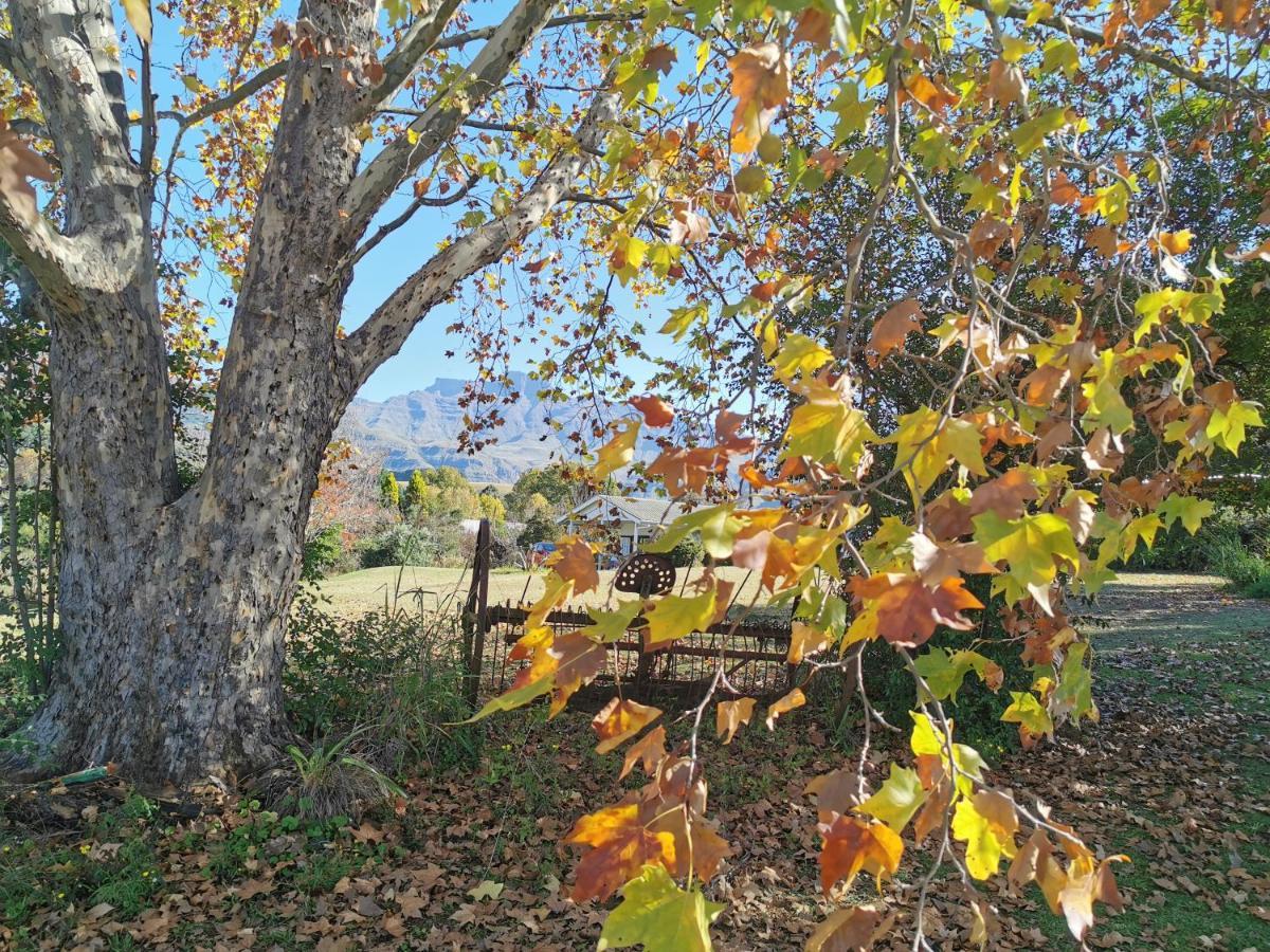 Swallowfield Rondavels Champagne Valley Екстер'єр фото
