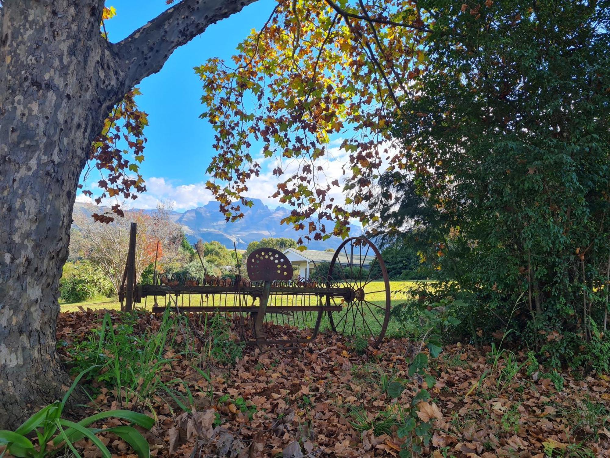 Swallowfield Rondavels Champagne Valley Екстер'єр фото
